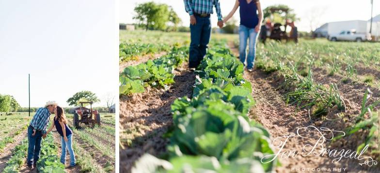 farm photos